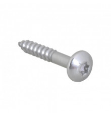 BIS RapidRail Шуруп Torx TX30 6×40мм
