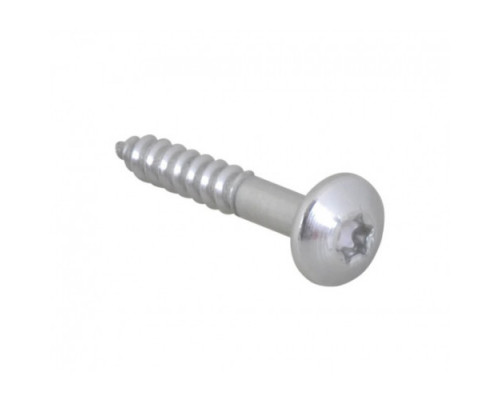 BIS RapidRail Шуруп Torx TX30 6×40мм